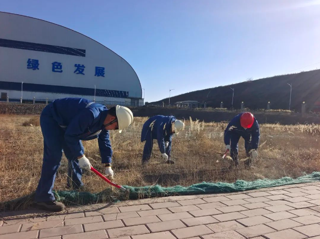 271709023577321373.png image.png